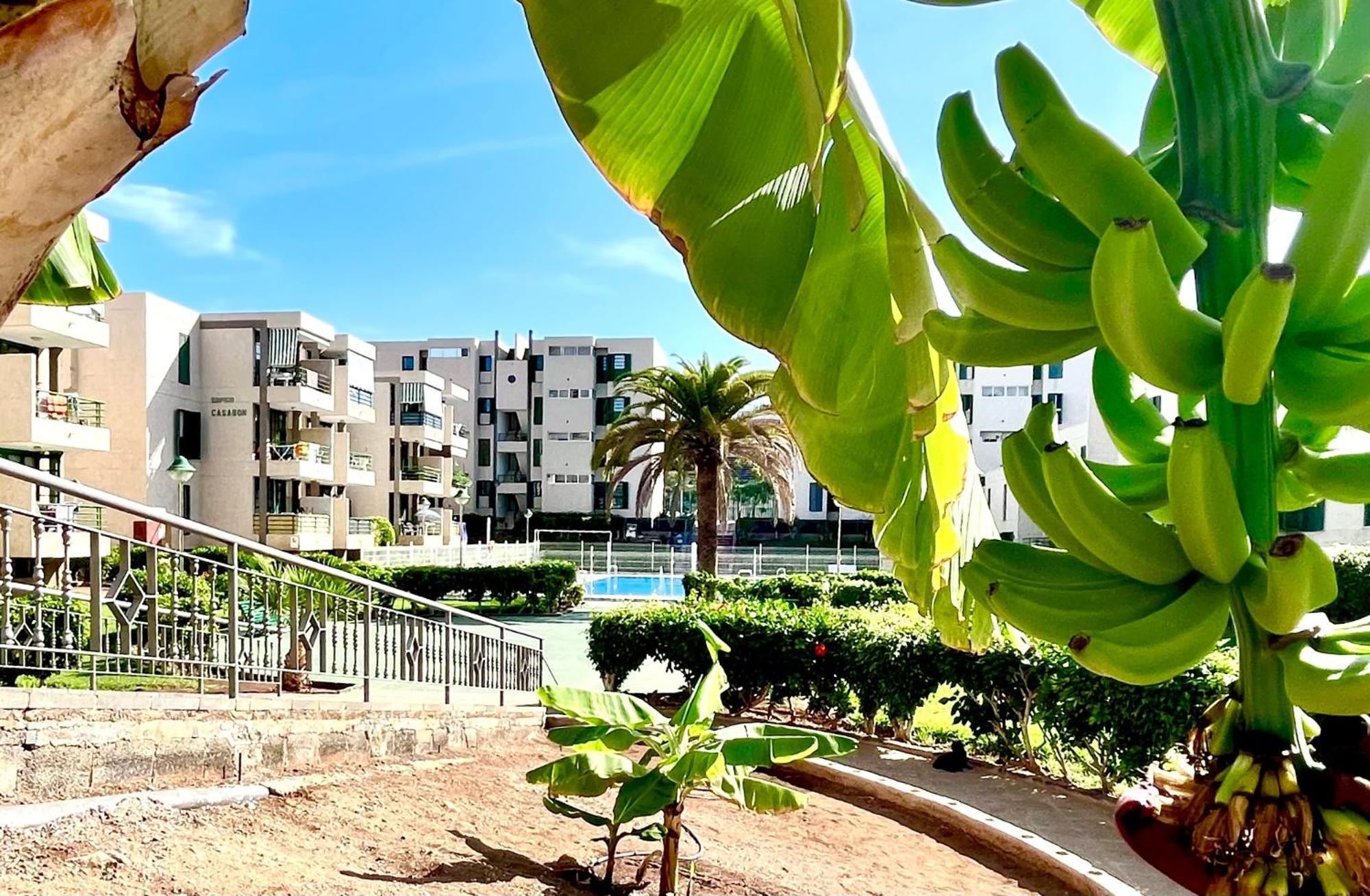 Las Vinas Apartment Playa de las Americas  Zewnętrze zdjęcie